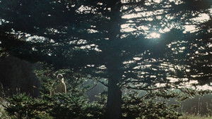 Умри, моя любовь кадр 40 онлайн-кинотеатр Эмбликс