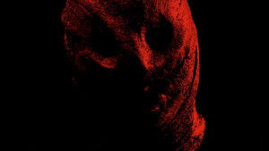 Коллекционер кадр 11 онлайн-кинотеатр Эмбликс