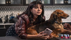 Лапы в городе кадр 1 онлайн-кинотеатр Эмбликс