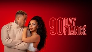 Виза невесты. Виза жениха кадр 6 на Эмбликс в Hd