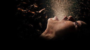 Noseeums кадр 3 онлайн-кинотеатр Эмбликс