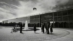 Бугония кадр 21 онлайн-кинотеатр Эмбликс