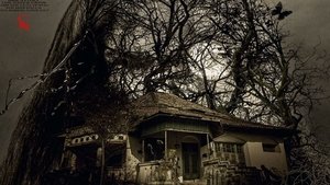 Тётин дом: История Хелены кадр 2 онлайн-кинотеатр Эмбликс