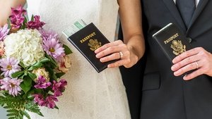 Виза невесты. Виза жениха кадр 18 на Эмбликс в Hd