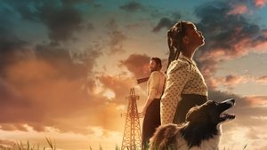 Нефть Сары кадр 1 онлайн-кинотеатр Эмбликс