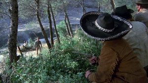 Падальщики будут копать могилу кадр 10 онлайн-кинотеатр Эмбликс