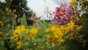 Бензопилы пели кадр 16 онлайн-кинотеатр Эмбликс