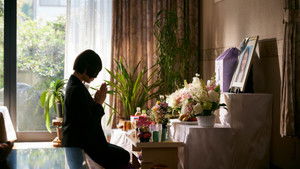 Сакура кадр 5 онлайн-кинотеатр Эмбликс