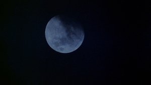 Американский оборотень в Лондоне кадр 16 онлайн-кинотеатр Эмбликс
