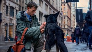 Плохая девочка кадр 14 онлайн-кинотеатр Эмбликс