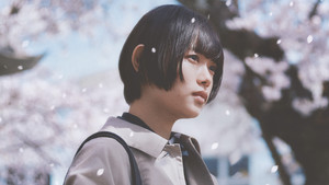 Сакура кадр 4 онлайн-кинотеатр Эмбликс