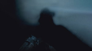 Семь кадр 83 онлайн-кинотеатр Эмбликс