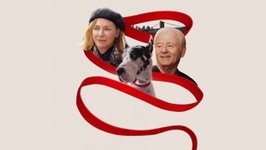 Верный друг кадр 2 онлайн-кинотеатр Эмбликс