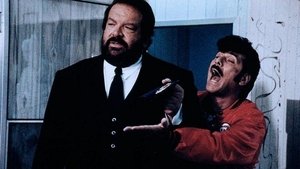 Собаки и кошки кадр 10 онлайн-кинотеатр Эмбликс