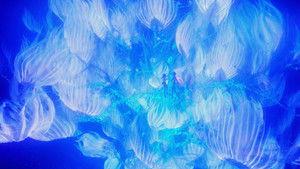 Аватар: Пламя и пепел кадр 66 онлайн-кинотеатр Эмбликс