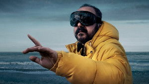 Канарейка кадр 3 на Эмбликс в Hd