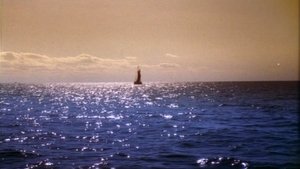 Цветок моря кадр 6 онлайн-кинотеатр Эмбликс