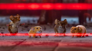 Мышиный переполох кадр 25 онлайн-кинотеатр Эмбликс