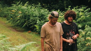 Бугония кадр 140 онлайн-кинотеатр Эмбликс