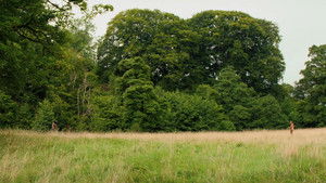 28 лет спустя: Часть II. Храм костей кадр 24 онлайн-кинотеатр Эмбликс