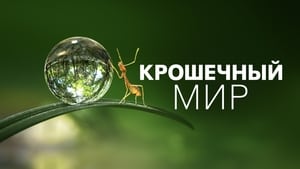 Крошечный мир кадр 6 на Эмбликс в Hd