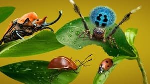 Настоящая жизнь жука кадр 7