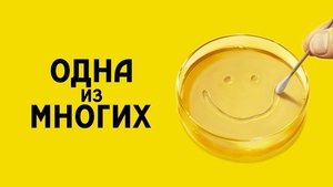 Из многих кадр 19 на Эмбликс в Hd