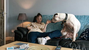 Стрекоза кадр 1 онлайн-кинотеатр Эмбликс