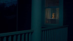 Глазами пса кадр 30 онлайн-кинотеатр Эмбликс