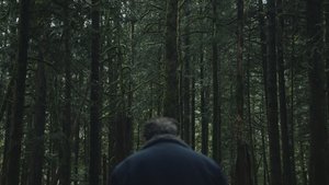 Убить волка кадр 4 онлайн-кинотеатр Эмбликс