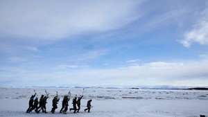 Гризли кадр 1 онлайн-кинотеатр Эмбликс