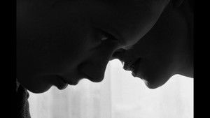 Арборист кадр 1 онлайн-кинотеатр Эмбликс