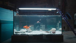 Дорогая, я уменьшаюсь кадр 7 онлайн-кинотеатр Эмбликс