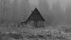 Роза кадр 21 онлайн-кинотеатр Эмбликс