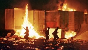 Музыкальная шкатулка. Вудсток 99: Мир, любовь и ярость кадр 2 онлайн-кинотеатр Эмбликс