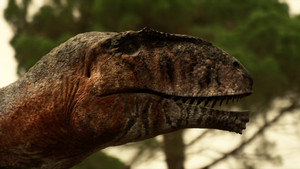 Прогулки с динозаврами кадр 16 на Эмбликс в Hd