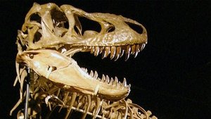 Кости кадр 2 онлайн-кинотеатр Эмбликс