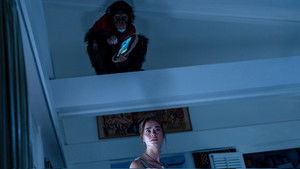 Примат кадр 16 онлайн-кинотеатр Эмбликс