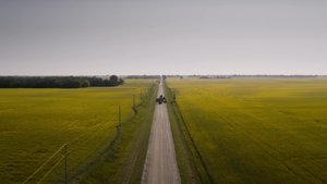 Долгая прогулка кадр 21 онлайн-кинотеатр Эмбликс
