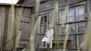 Летний альбом кадр 7 онлайн-кинотеатр Эмбликс