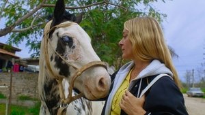 Волшебная ферма кадр 3 онлайн-кинотеатр Эмбликс