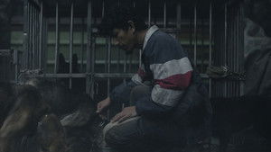 Дворняга кадр 8 онлайн-кинотеатр Эмбликс