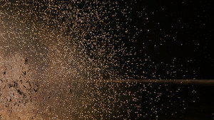 Звёздные войны: Эпизод 4 – Новая надежда кадр 111 онлайн-кинотеатр Эмбликс