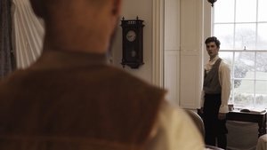 Последний фламинго красного летнего заката кадр 3 онлайн-кинотеатр Эмбликс