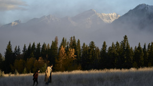 Можно ли перевести любовь? кадр 4 на Эмбликс в Hd