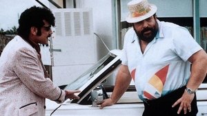 Собаки и кошки кадр 6 онлайн-кинотеатр Эмбликс