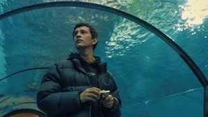 Светочувствительный кадр 5 онлайн-кинотеатр Эмбликс