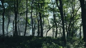 Алиса в Пограничье кадр 26 на Эмбликс в Hd