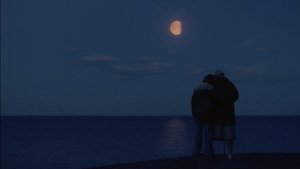 Летний альбом кадр 3 онлайн-кинотеатр Эмбликс