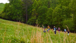 Очень странные дела кадр 246 на Эмбликс в Hd